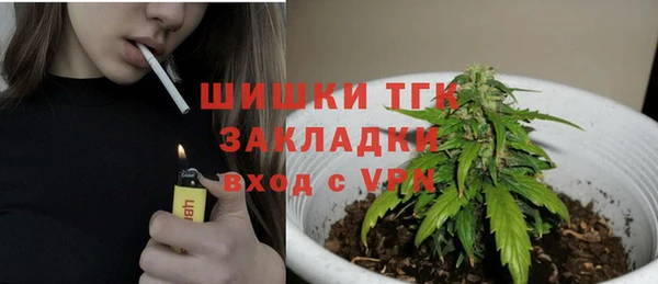 PSILOCYBIN Белокуриха