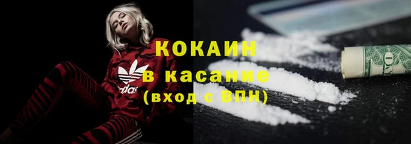 PSILOCYBIN Белокуриха