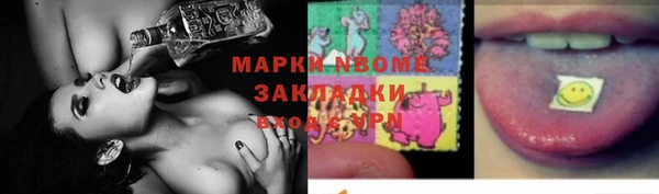 PSILOCYBIN Белокуриха