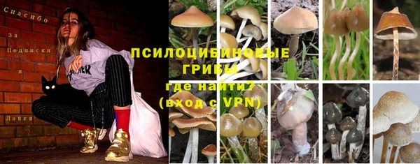 хмурый Белоозёрский