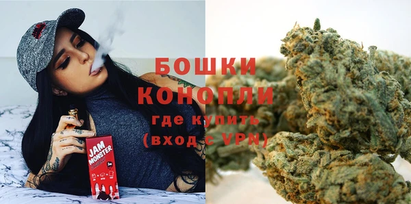 PSILOCYBIN Белокуриха