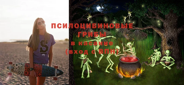 хмурый Белоозёрский