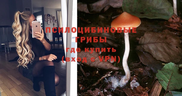 хмурый Белоозёрский