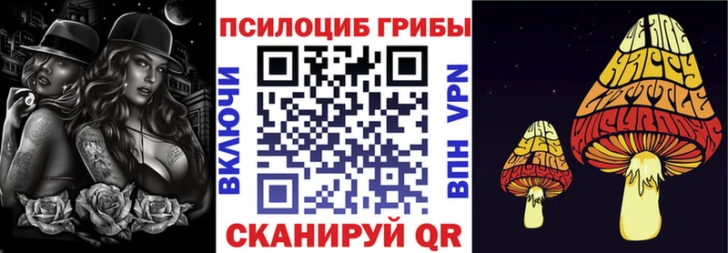 Псилоцибиновые грибы Psilocybine cubensis  Пионерский 