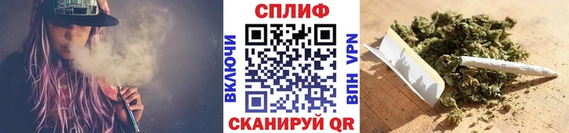 Каннабис планчик сколько стоит Пионерский